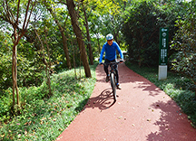 生態透水混凝土